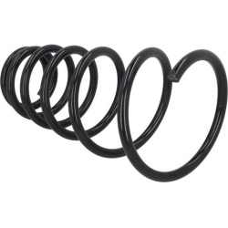 spyruoklė  spyruoklė