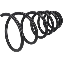 spyruoklė  spyruoklė