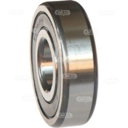  pavaros guolis, kintamosios srovės generatorius