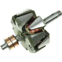  rotorius, kintamosios srovės generatorius <small>AS</small>