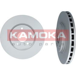  stabdžių diskas (1vnt)