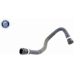  radiatoriaus žarna <small>Q+, original equipment manufacturer quality</small>