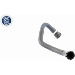  radiatoriaus žarna <small>Q+, original equipment manufacturer quality</small>