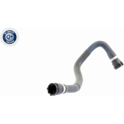  radiatoriaus žarna <small>Q+, original equipment manufacturer quality</small>