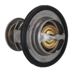  termostatas, aušinimo skystis