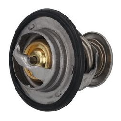  termostatas, aušinimo skystis