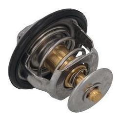  termostatas, aušinimo skystis