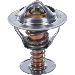  termostatas, aušinimo skystis