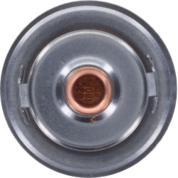  termostatas, aušinimo skystis