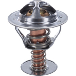  termostatas, aušinimo skystis