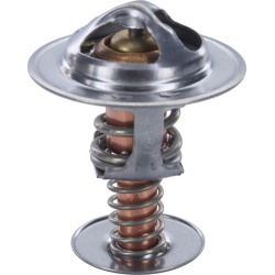  termostatas, aušinimo skystis