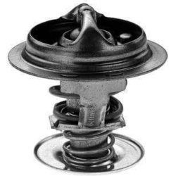  termostatas, aušinimo skystis