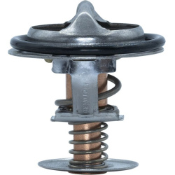  termostatas, aušinimo skystis