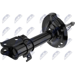 amortizatorius  amortizatorius