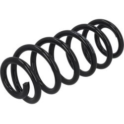 spyruoklė  spyruoklė