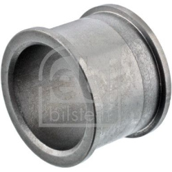 vairo ašis  vairo ašis