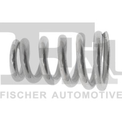  spyruoklė, duslintuvas