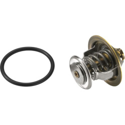  termostatas, aušinimo skystis