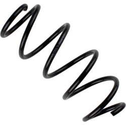  spyruoklė <small>BILSTEIN - B3 OE Replacement</small>