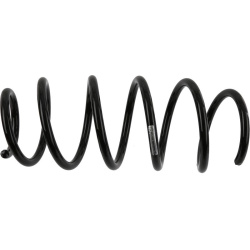 spyruoklė  spyruoklė