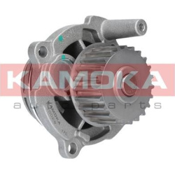  Vandens siurblys, variklio aušinimas