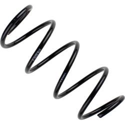  spyruoklė <small>BILSTEIN - B3 OE Replacement</small>