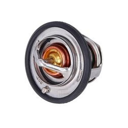  termostatas, aušinimo skystis