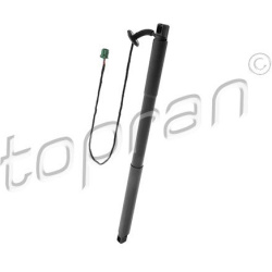  galinių durų elektros variklis