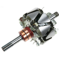  rotorius, kintamosios srovės generatorius <small>AS</small>