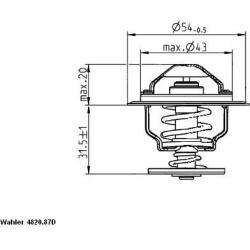  termostatas, aušinimo skystis
