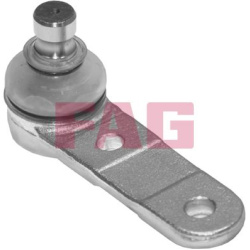  Šarnyras / girgždukas