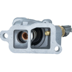  termostatas, aušinimo skystis