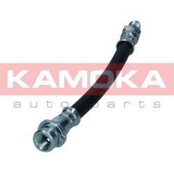  stabdžių žarnelė