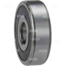  pavaros guolis, kintamosios srovės generatorius