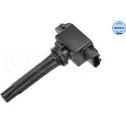  ritė, uždegimas <small>MEYLE-ORIGINAL: True to OE.</small>