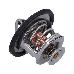  termostatas, aušinimo skystis