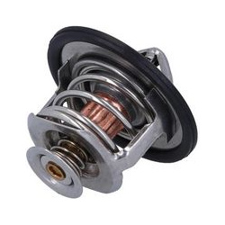  termostatas, aušinimo skystis