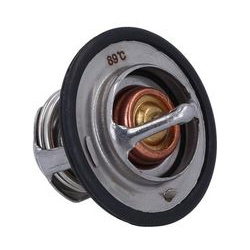  termostatas, aušinimo skystis