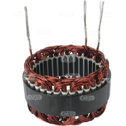  Statorius, generatorius