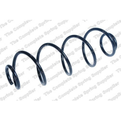 spyruoklė  spyruoklė