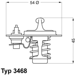  termostatas, aušinimo skystis