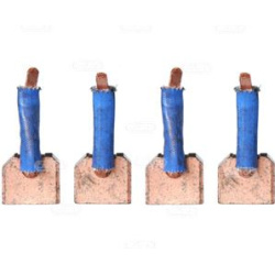  anglies šepetėlis, starteris