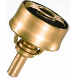  termostatas, aušinimo skystis