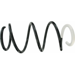 spyruoklė  spyruoklė