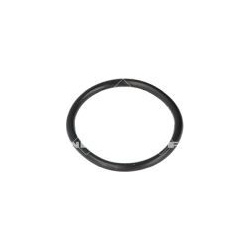  termostatas, aušinimo skystis