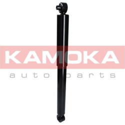 amortizatorius  amortizatorius