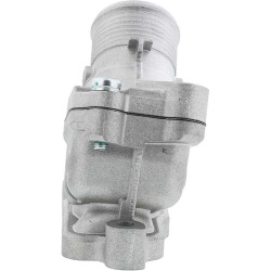  termostatas, aušinimo skystis