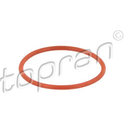  tarpiklis, EGR vožtuvas