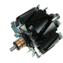  rotorius, kintamosios srovės generatorius <small>AS</small>