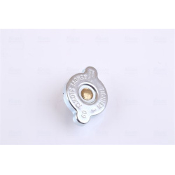  radiatorius, variklio aušinimas